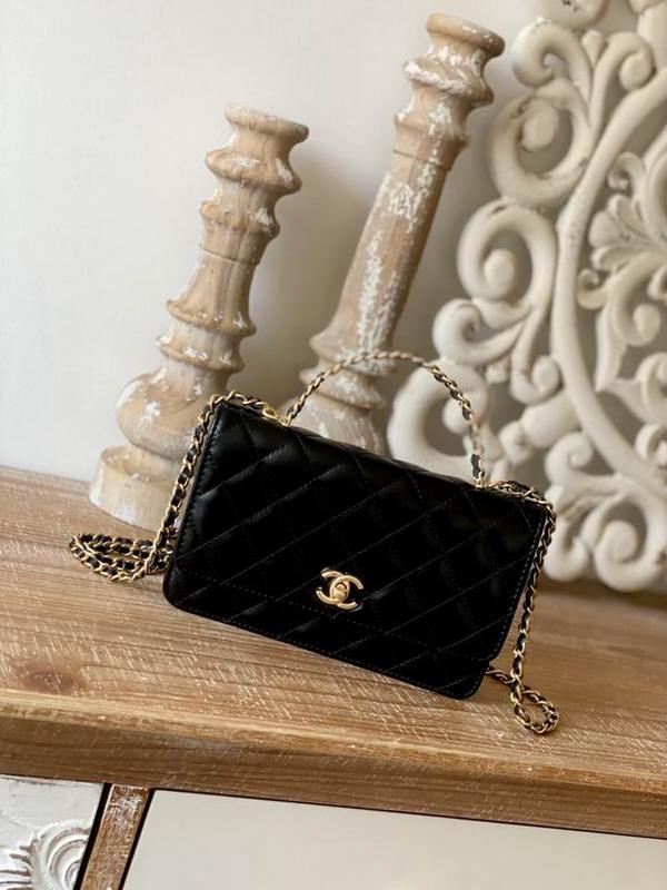 Chanel Handbags 667